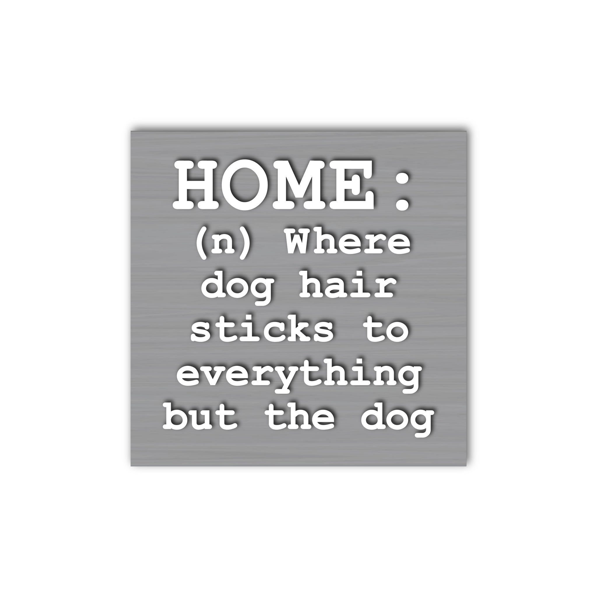 Home (n) Dog Hair